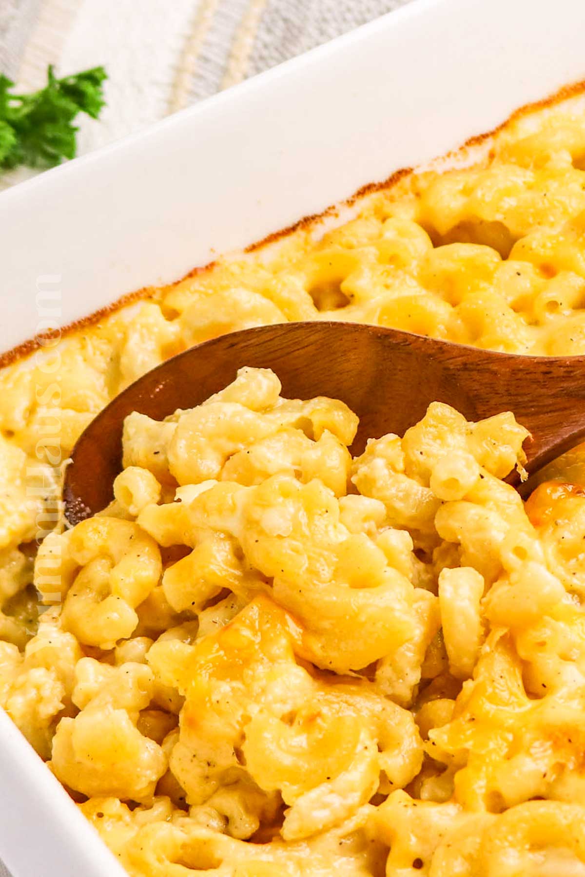 3-Cheese Macaroni and Cheese