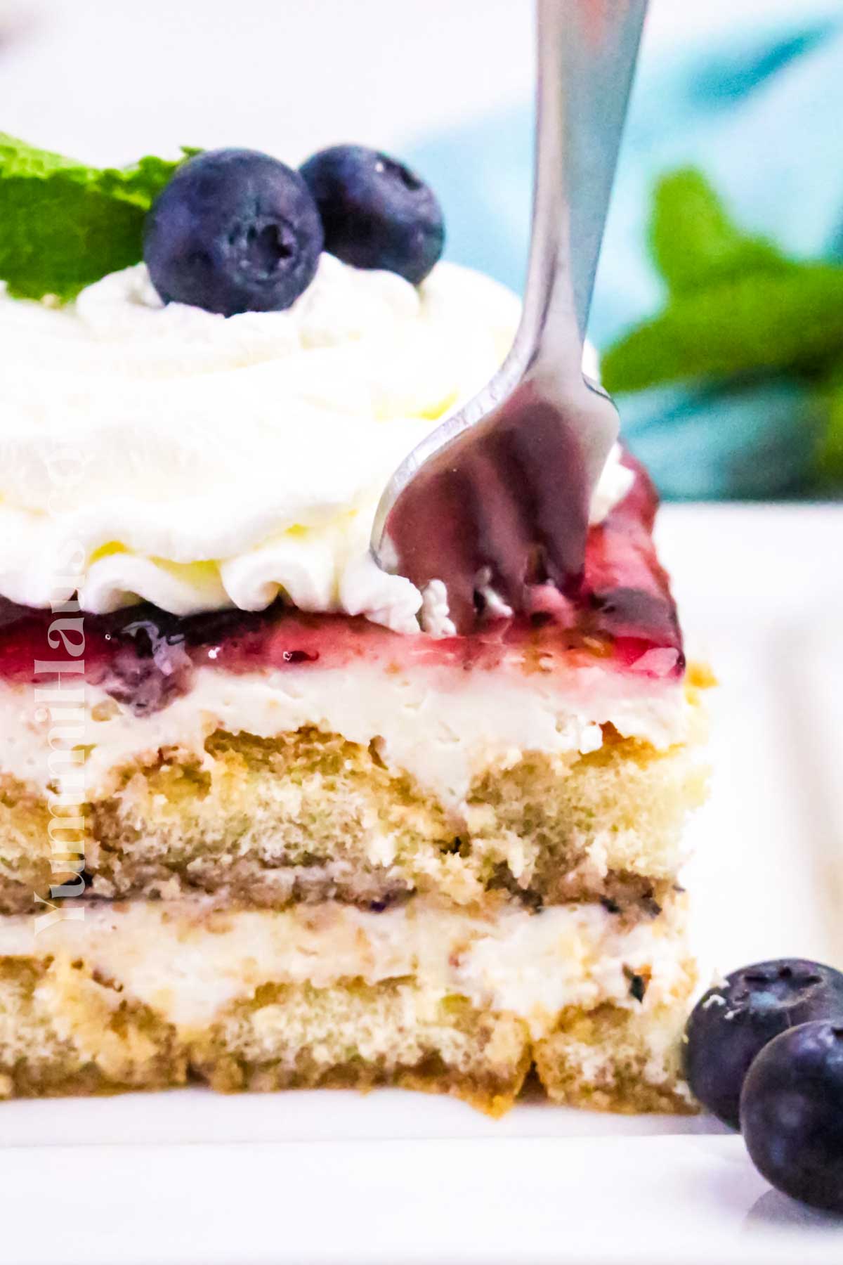 Blueberry Tiramisu