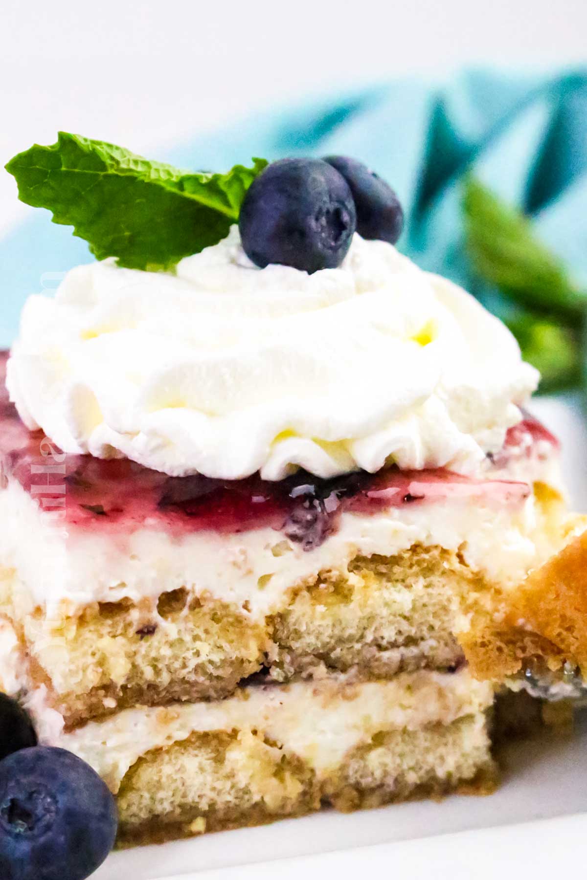 Blueberry Tiramisu Recipe