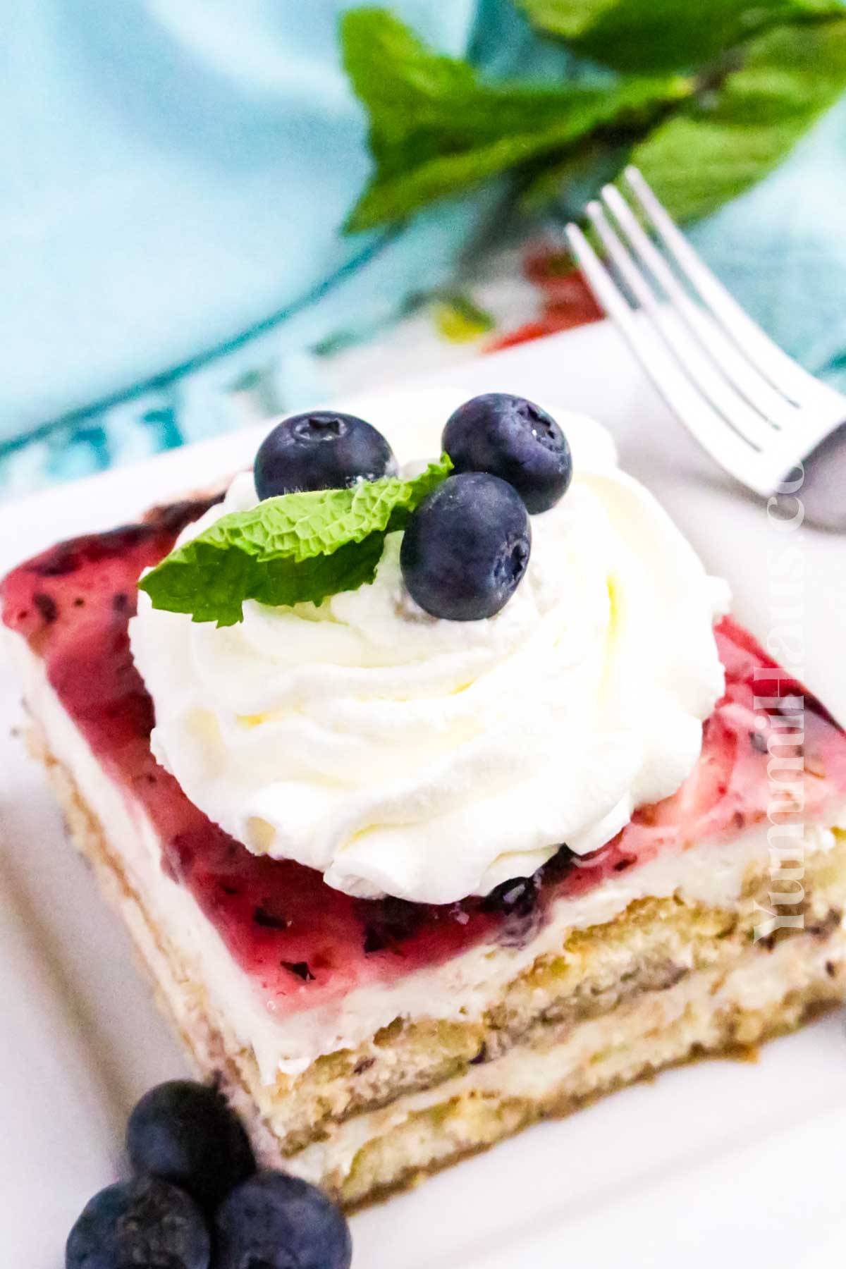 no bake treat with blueberries