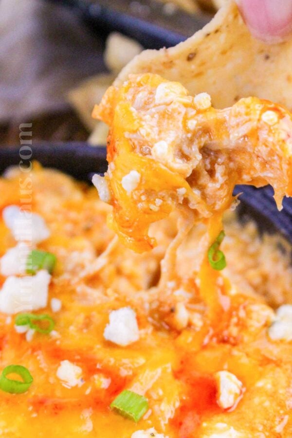 Cottage Cheese Buffalo Chicken Dip