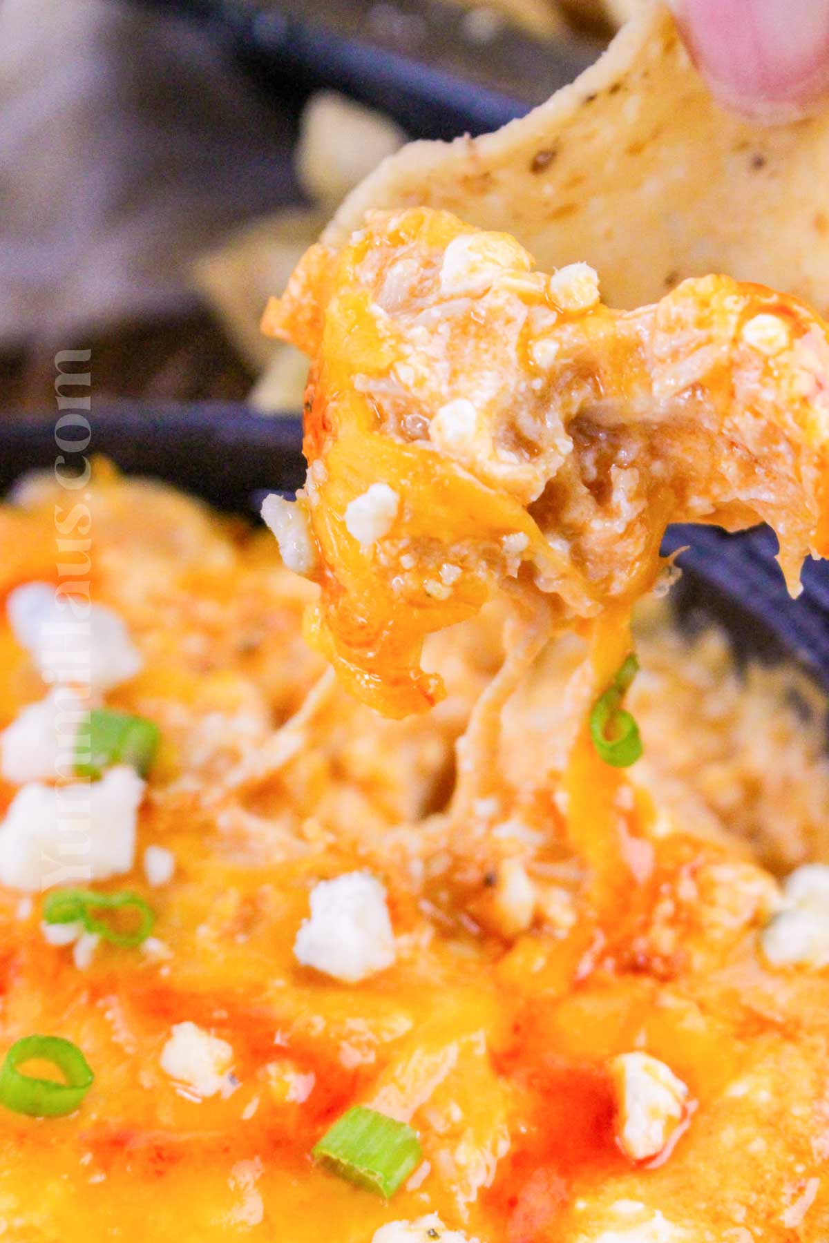 Cottage Cheese Buffalo Chicken Dip