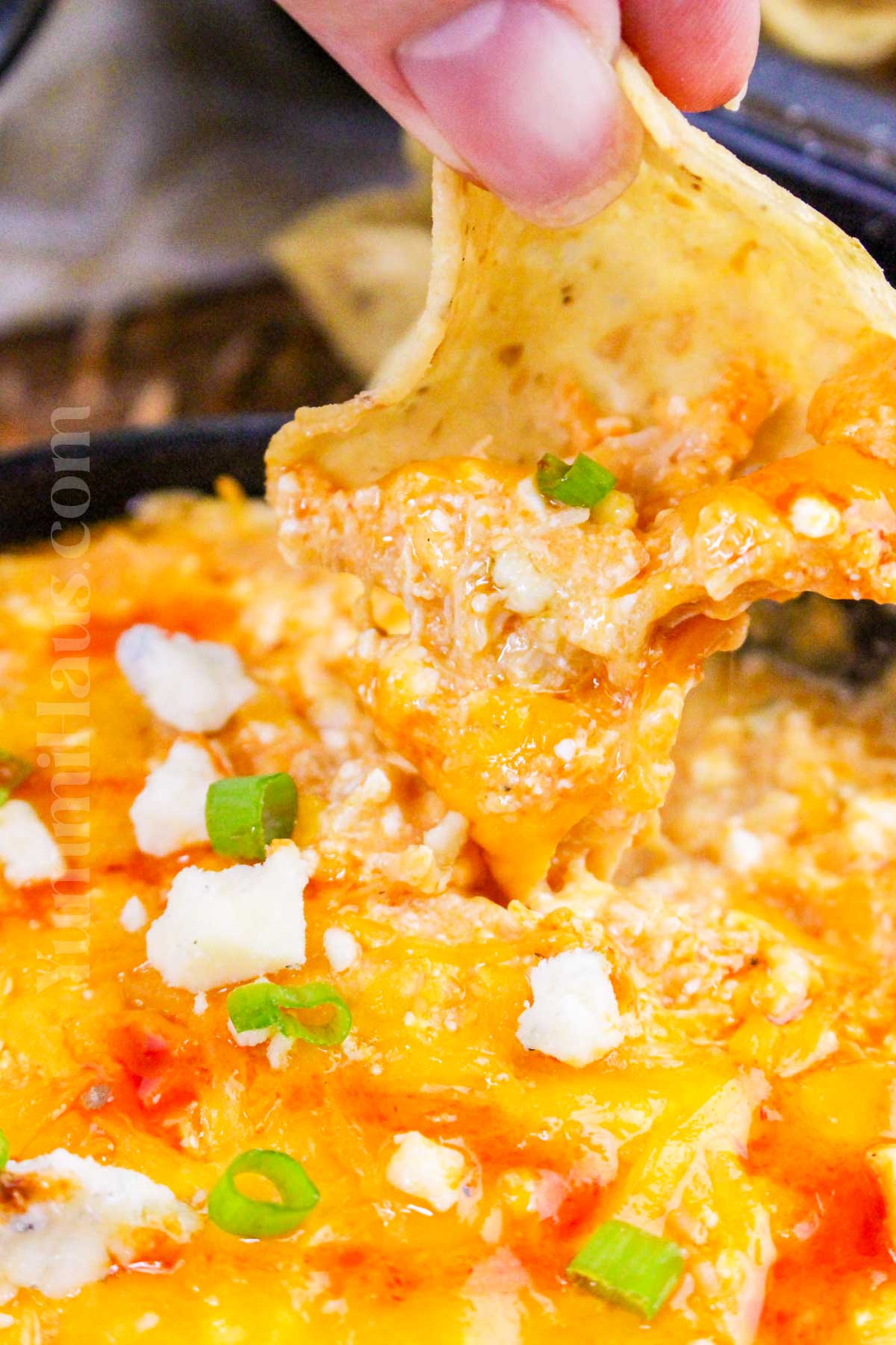Cottage Cheese Buffalo Chicken Dip recipe