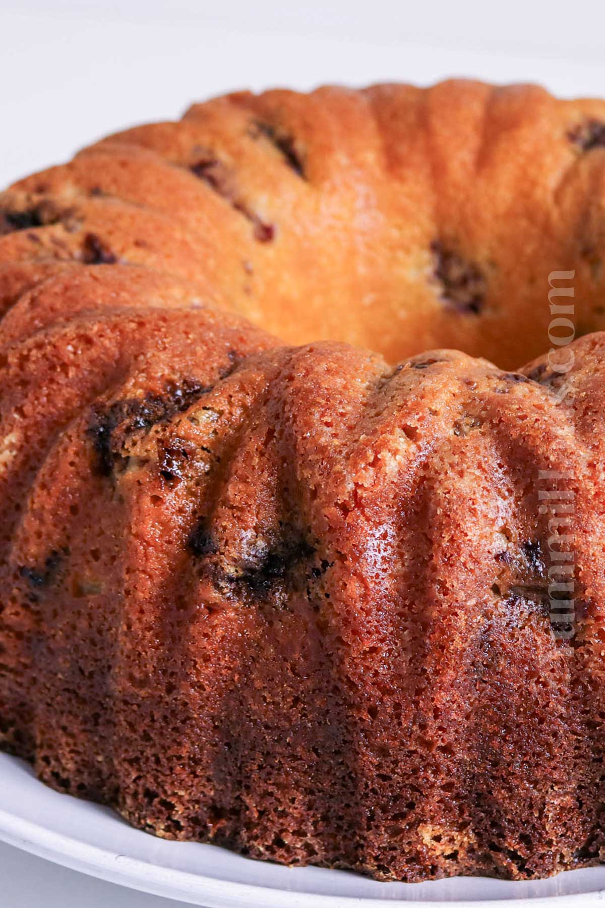 baked bundt cake with blackberries