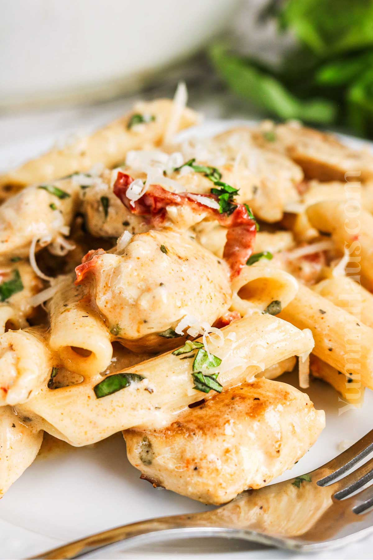 pasta meal