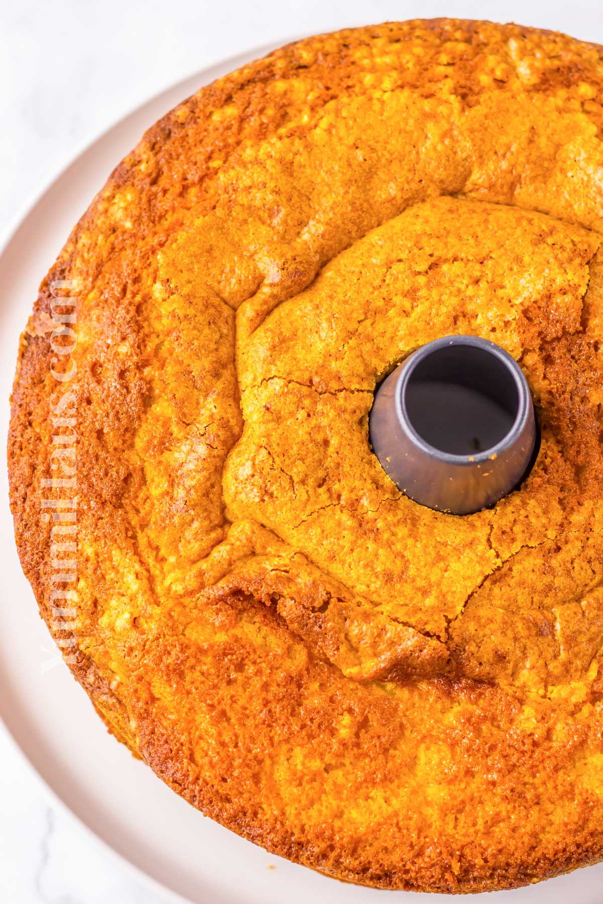 baked pound cake in a tube pan
