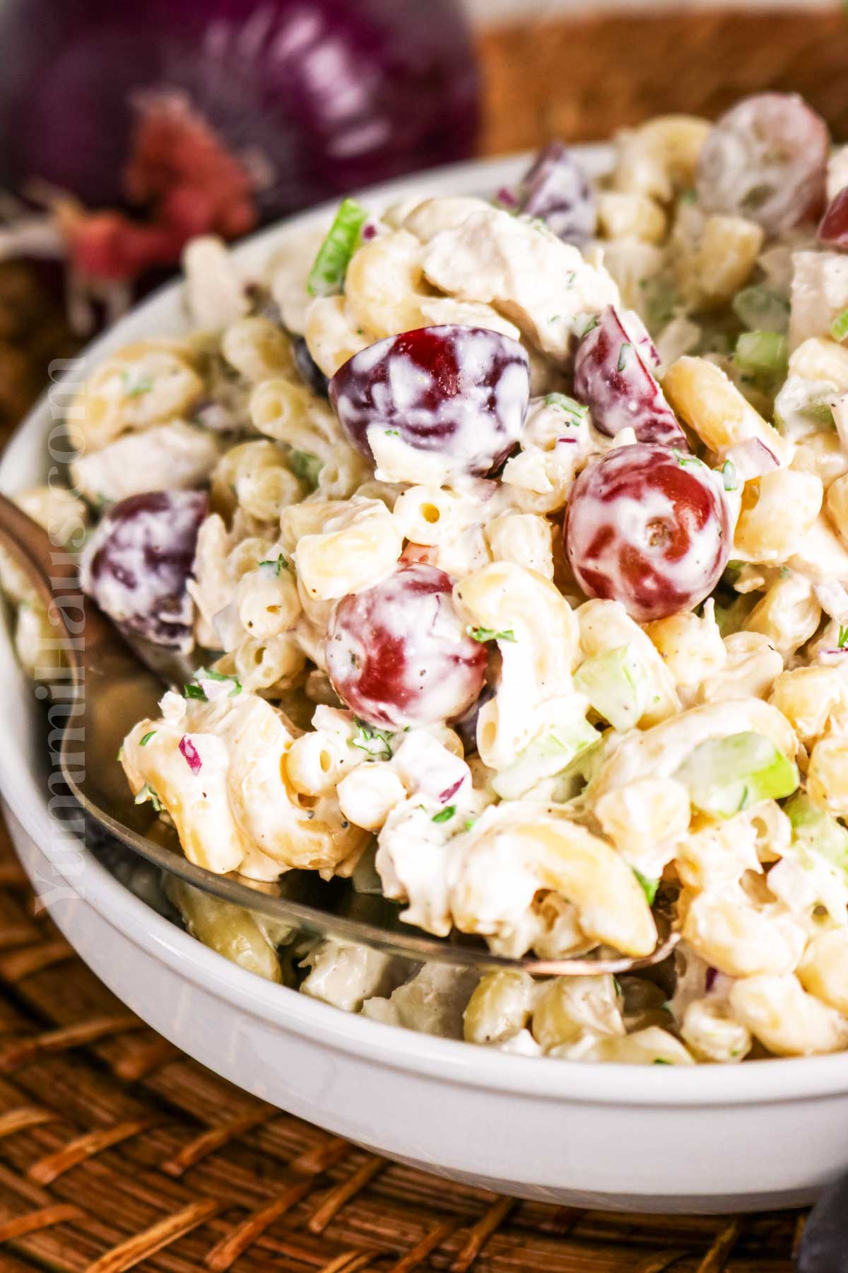 Chicken Salad Pasta Salad recipe