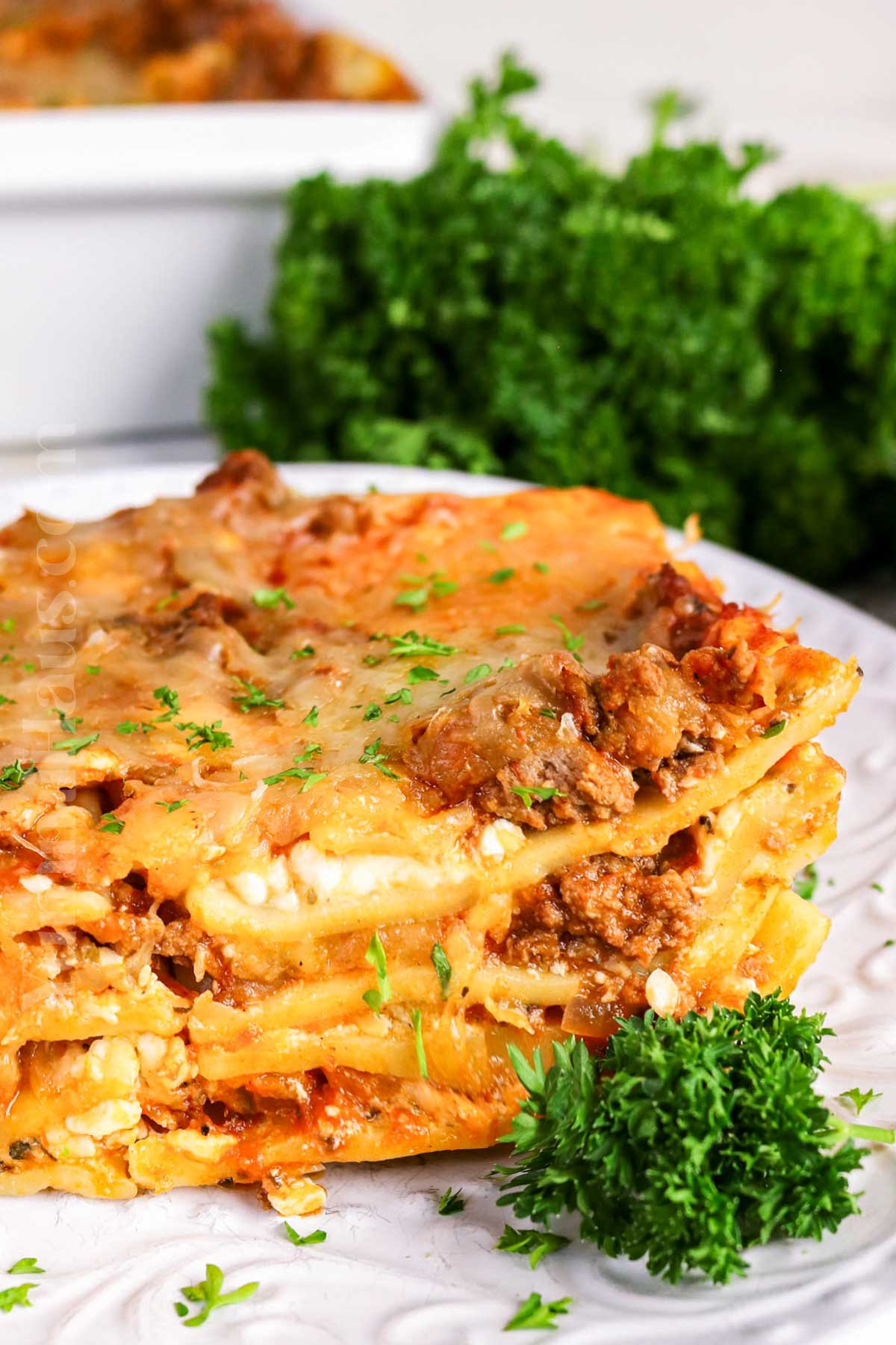 comfort food with pasta and cottage cheese