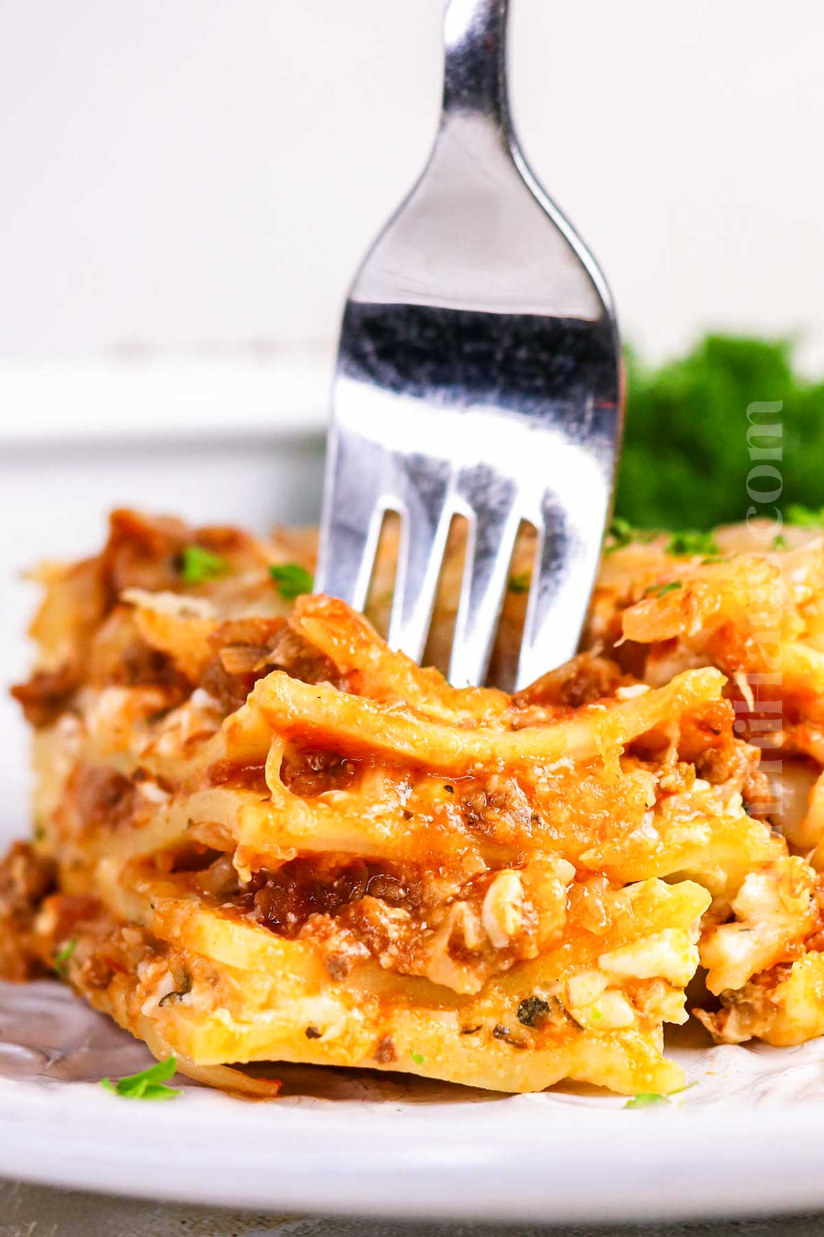 lasagna dinner