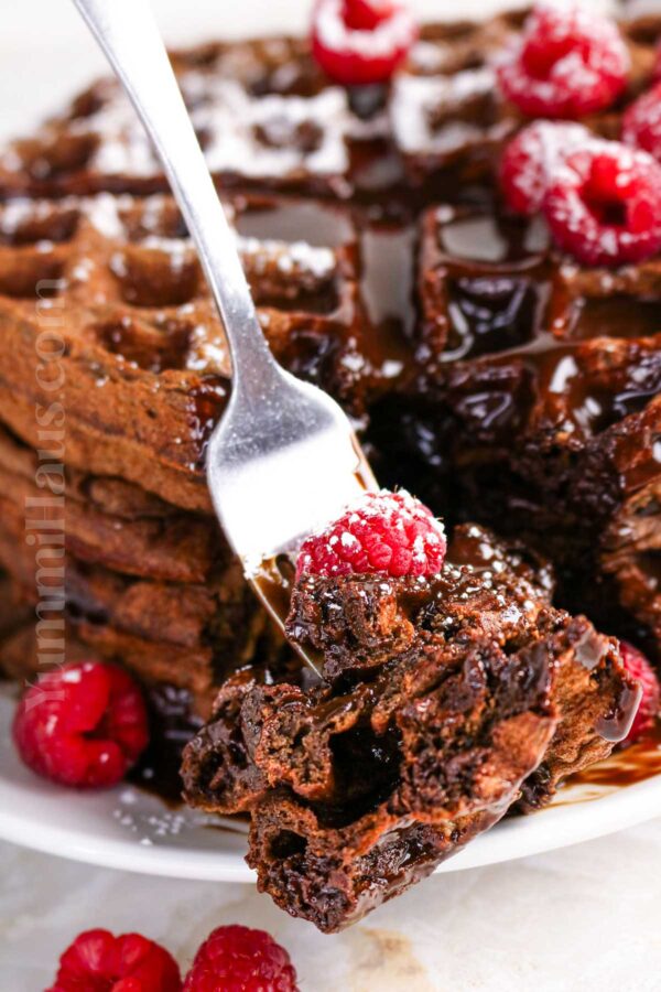 Chocolate Waffles