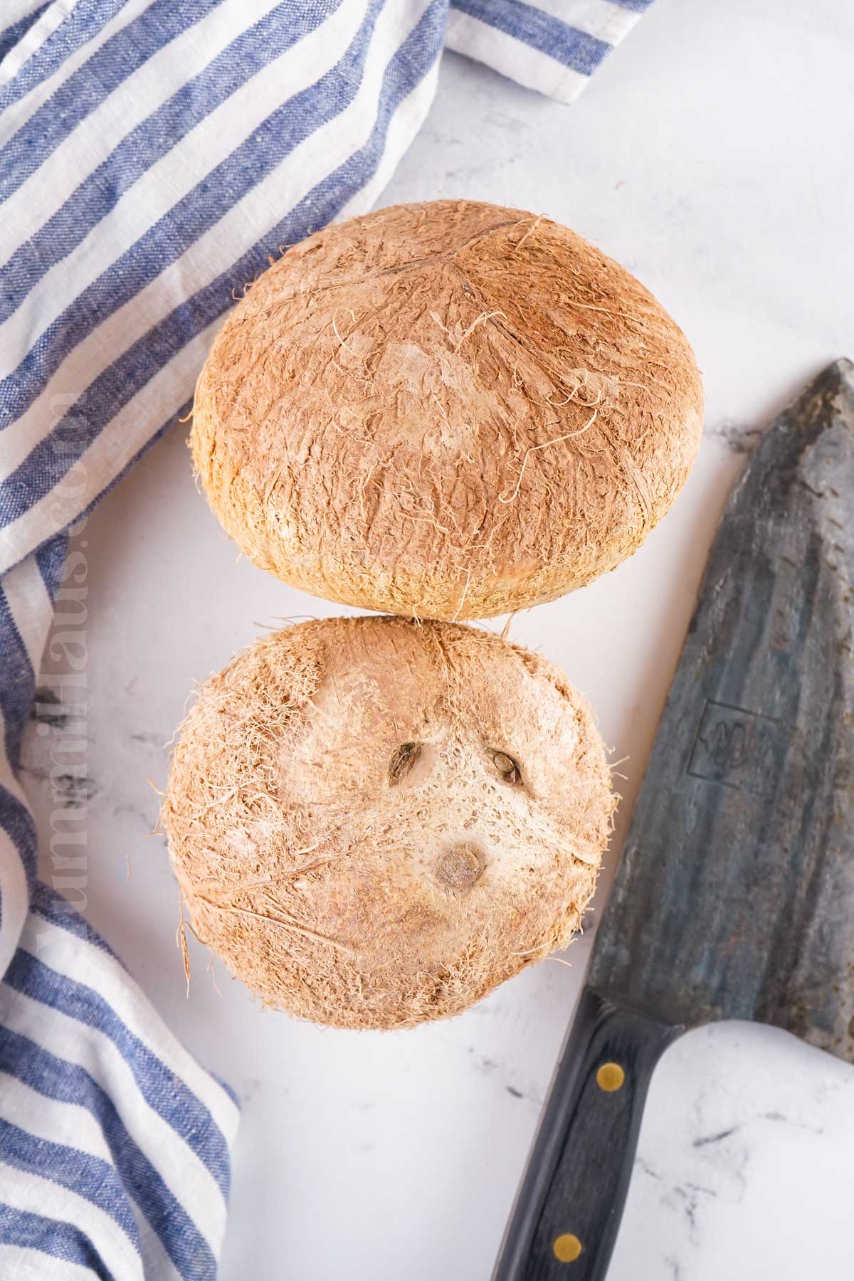 ingredients coconut