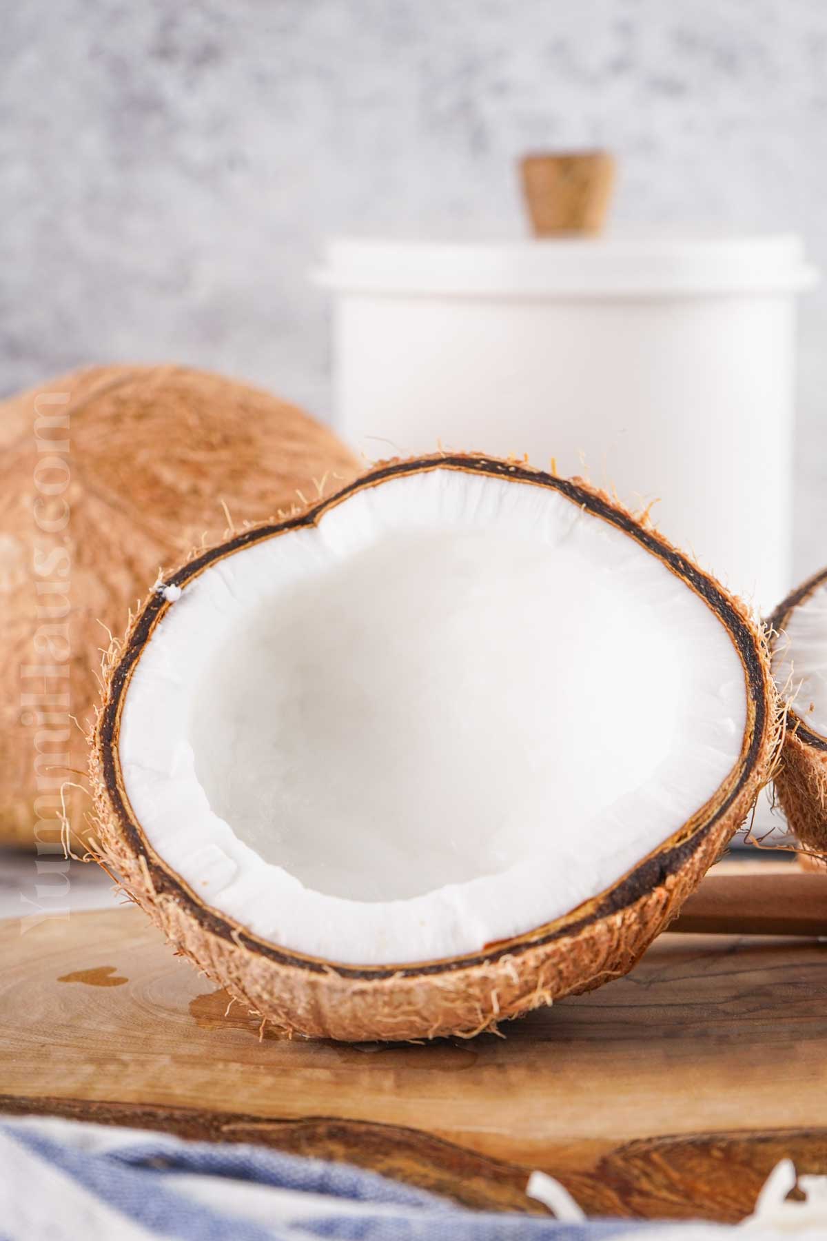 coconut tutorial