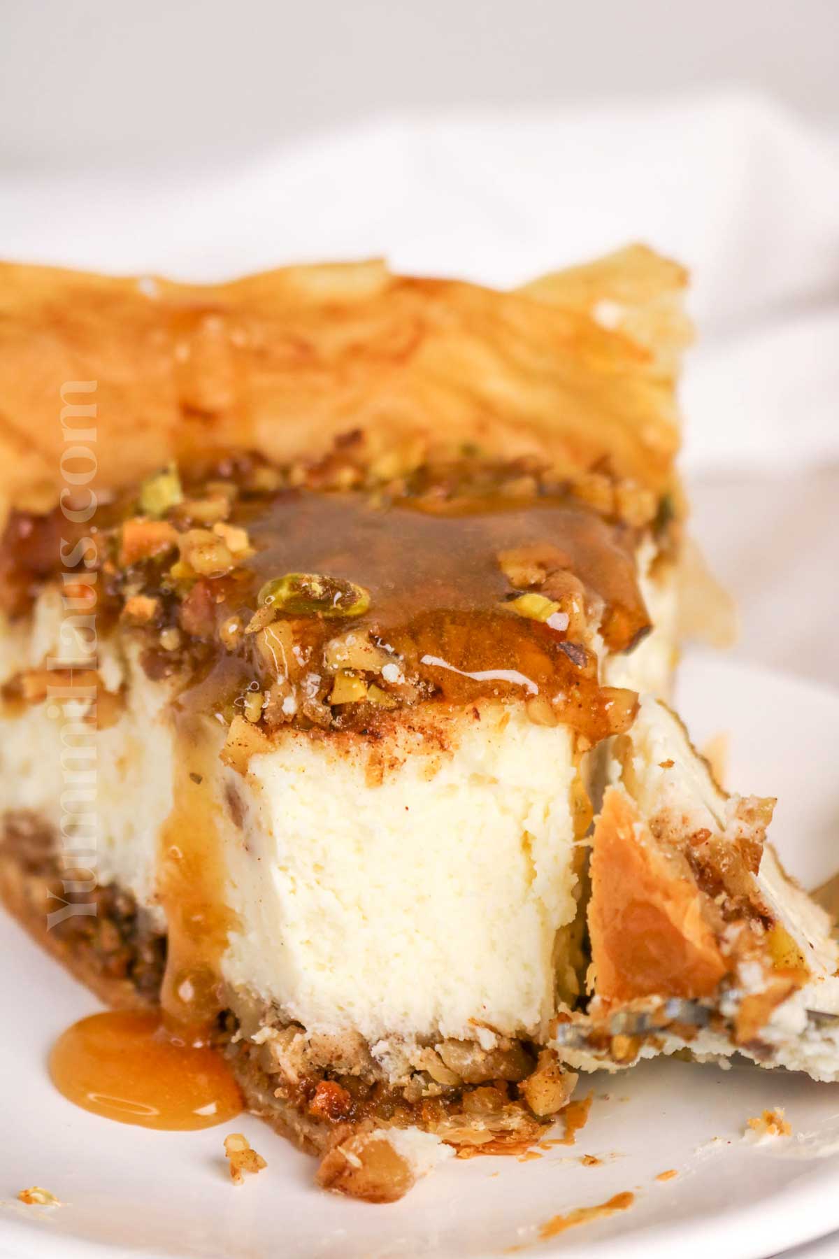 slice of cheesecake with honey and nuts