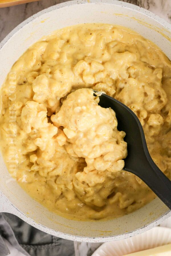 Butternut Squash Macaroni and Cheese