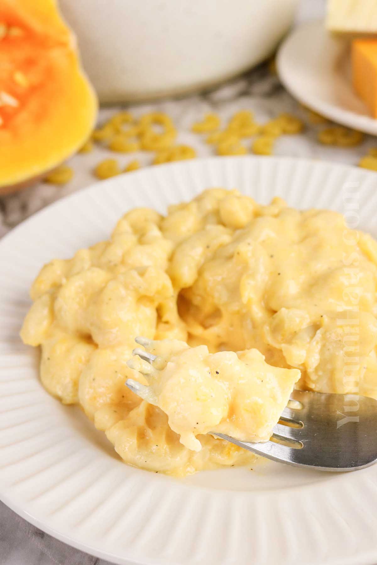 mac and cheese with squash
