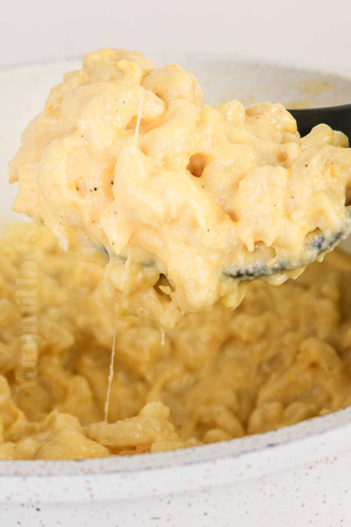 Butternut Squash Macaroni and Cheese recipe