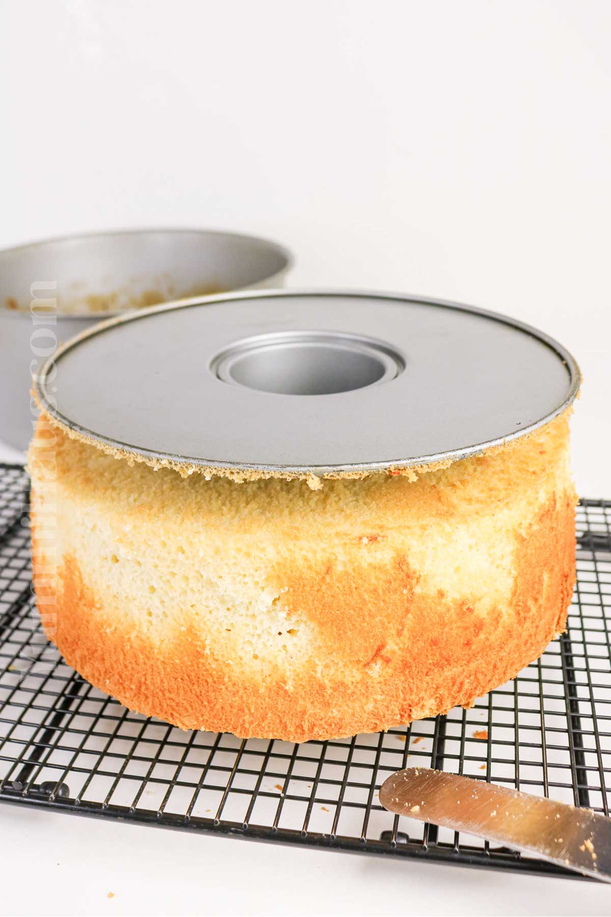 inverted cake cooling