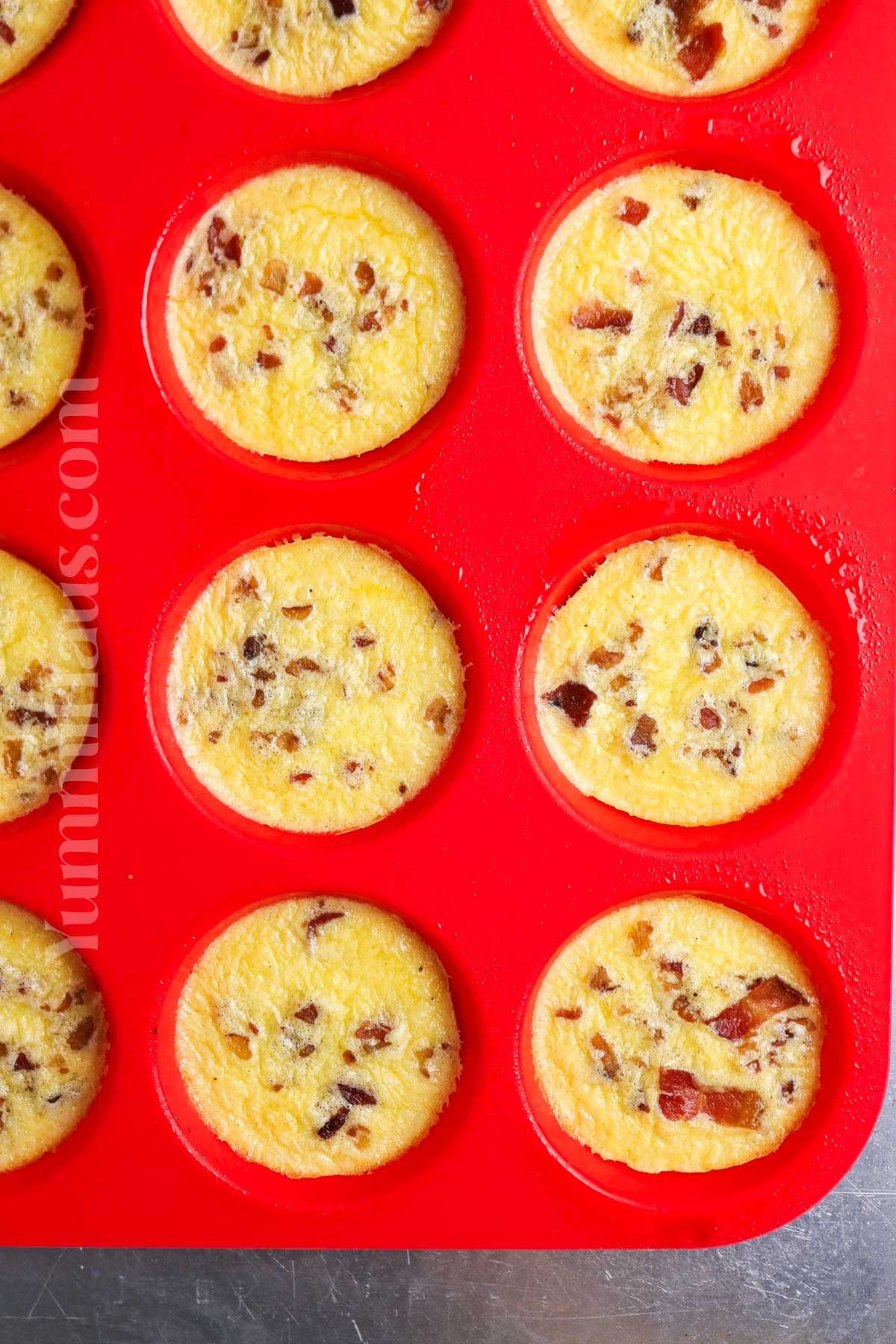 baked egg bites