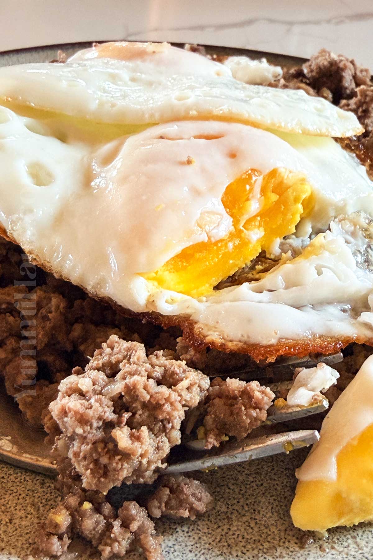 beef with eggs