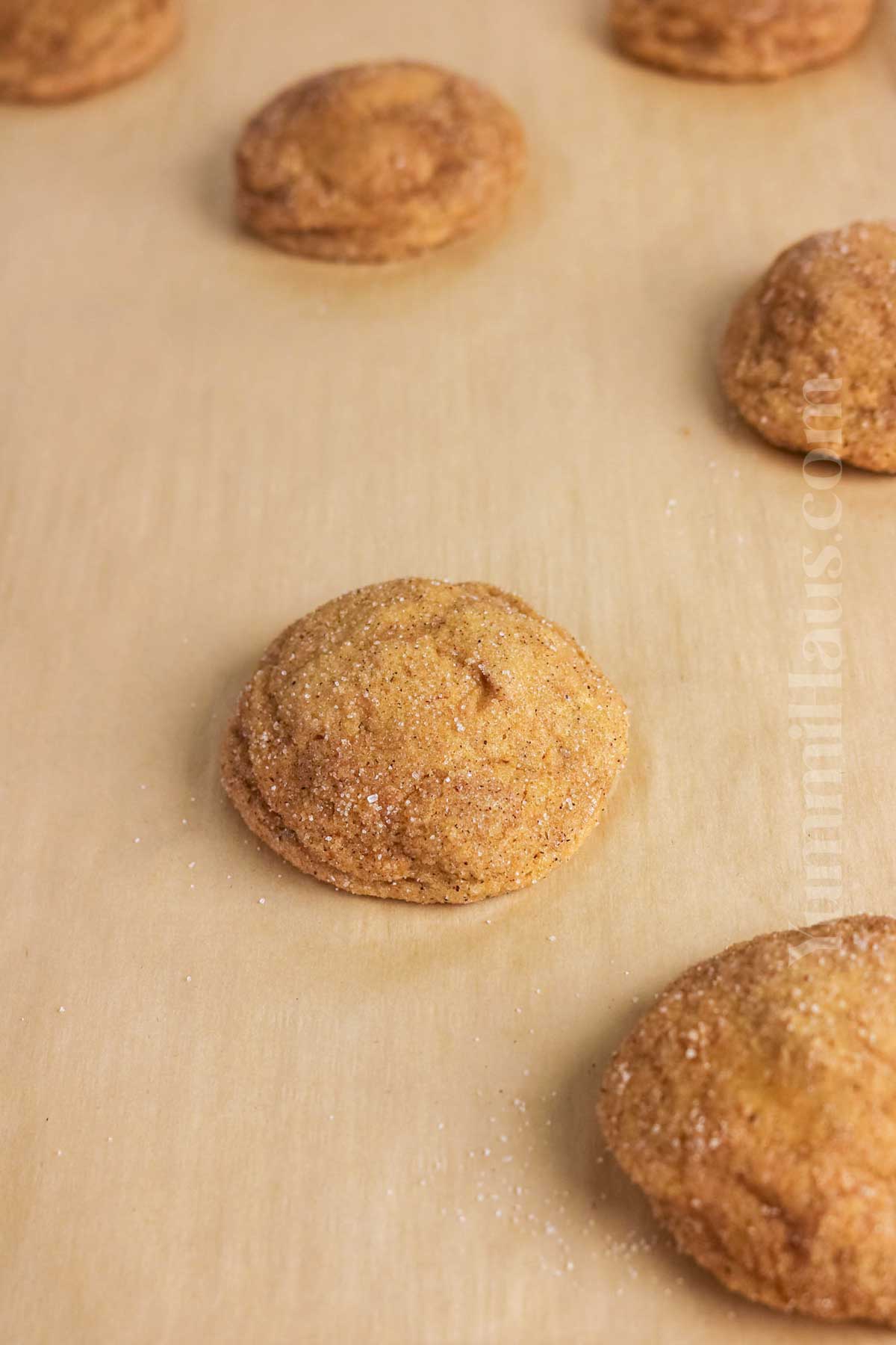 baked fall cookies