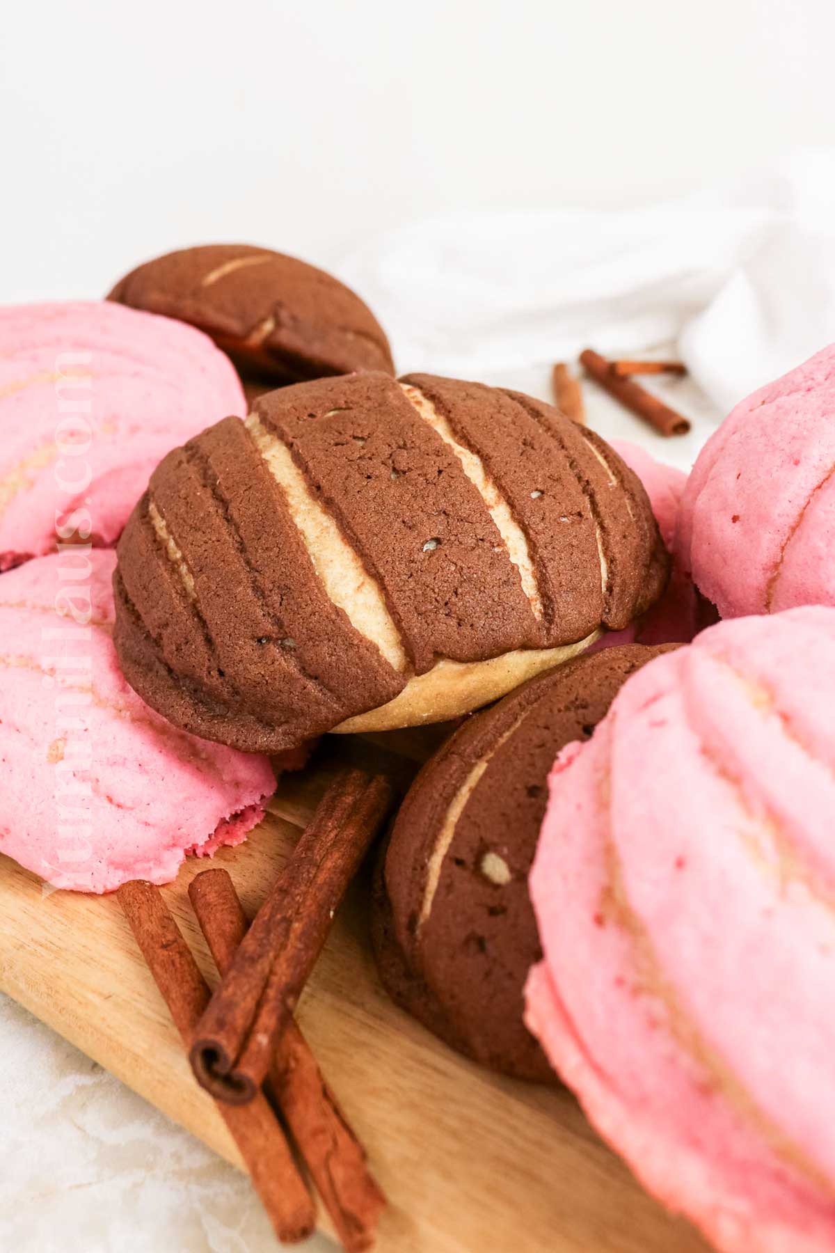 Conchas