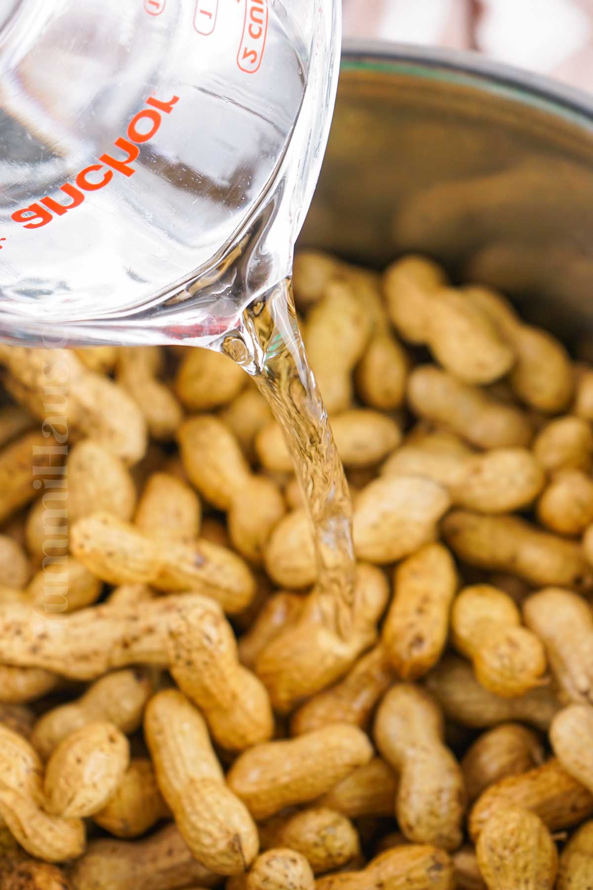 how to make Boiled Peanuts