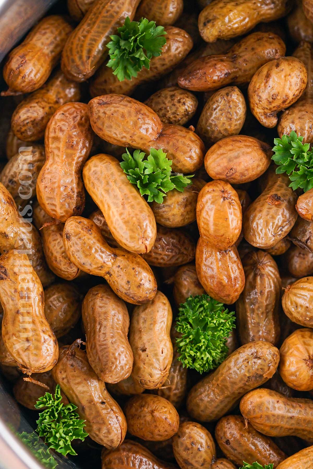 pressure cooker peanut recipe
