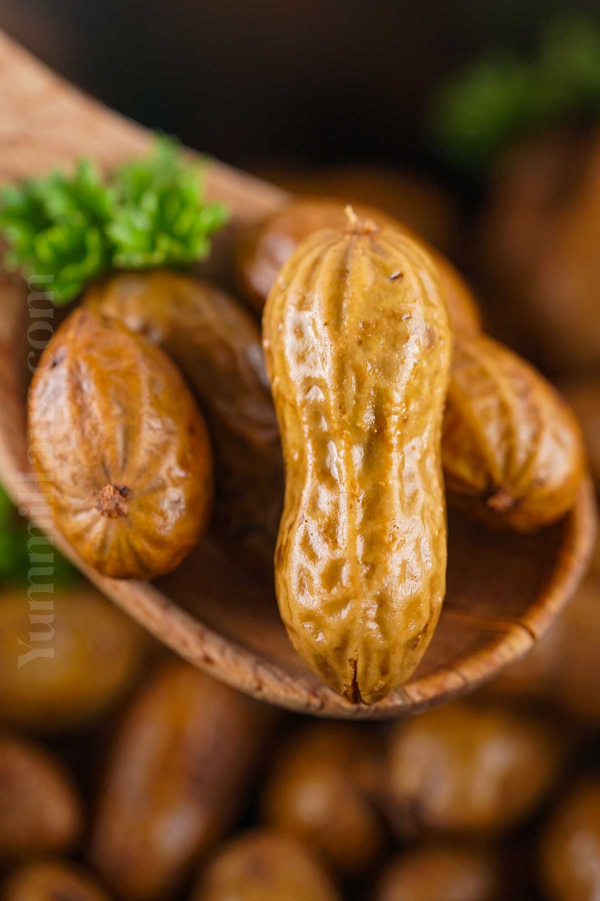 Boiled Peanuts recipe