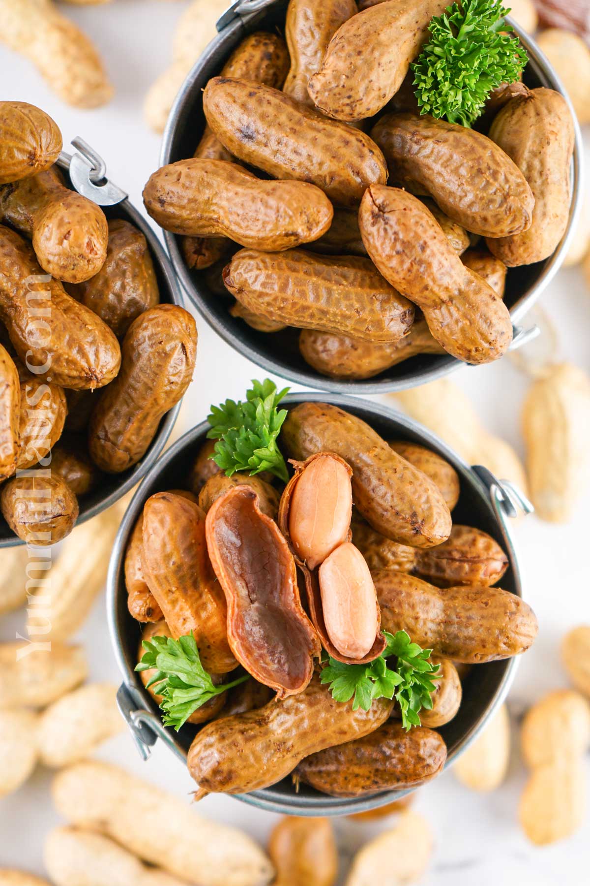 Instant Pot Boiled Peanuts