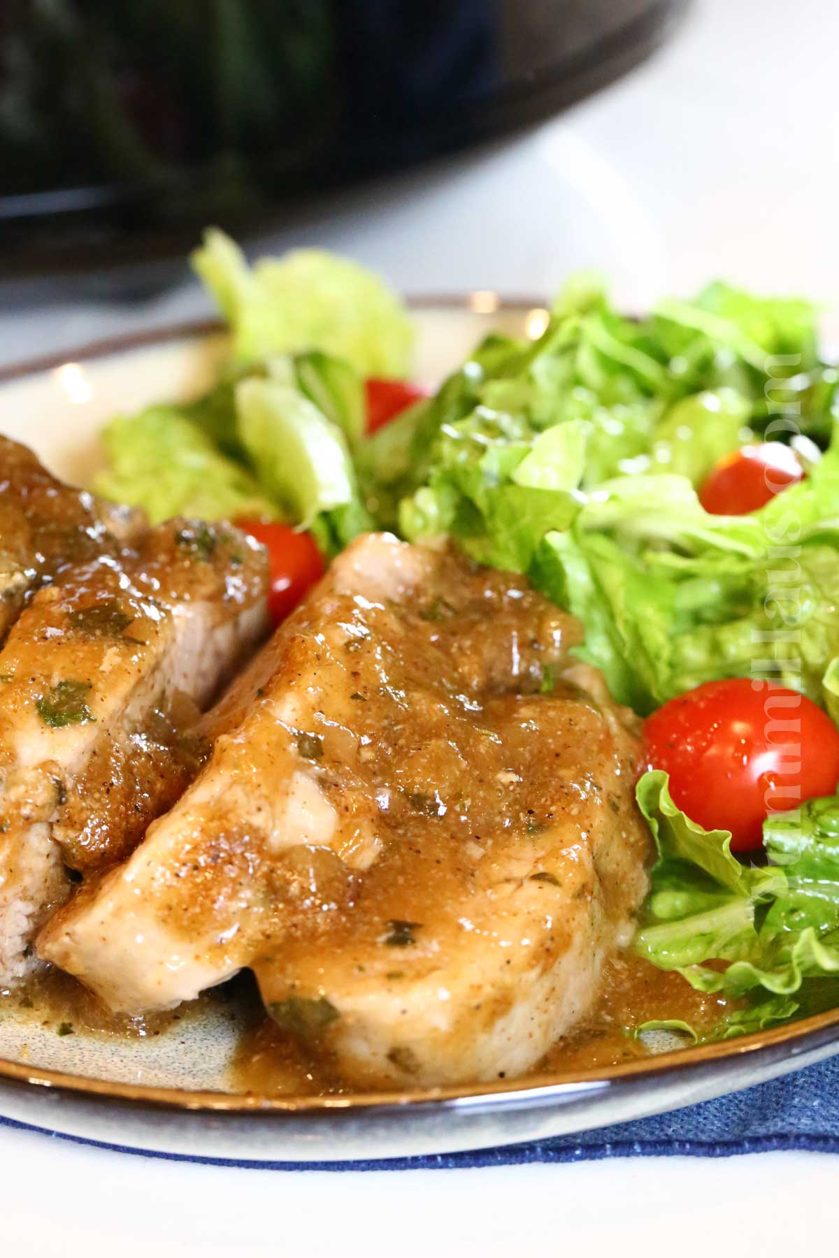 pork dinner slow cooker