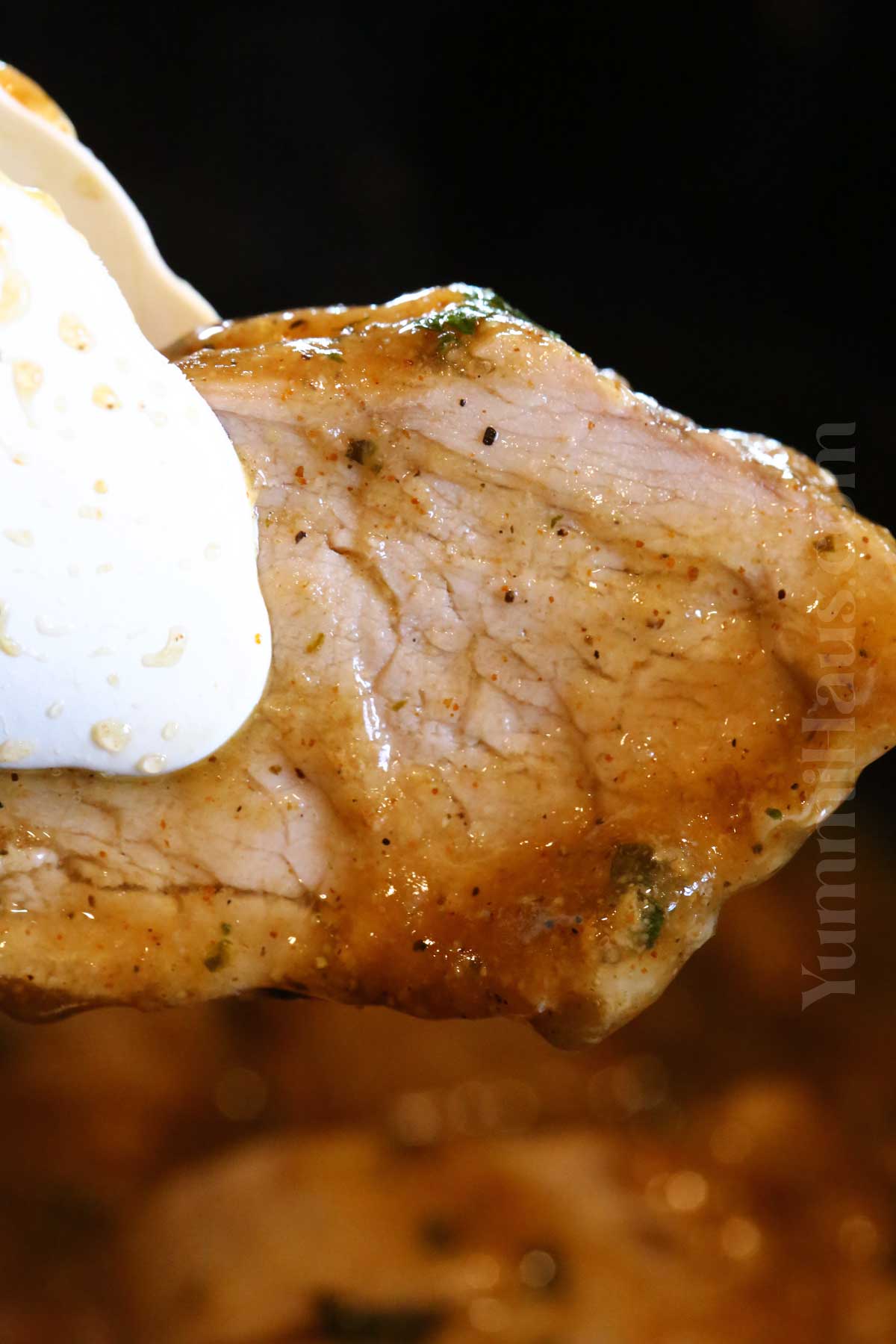 Slow Cooker Pork Tenderloin recipe