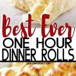 Best Ever One Hour Dinner Rolls