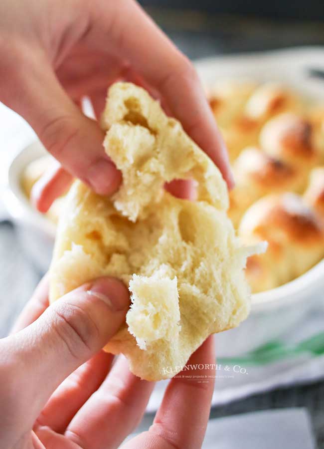 The BEST Buttery One-Hour Dinner Rolls