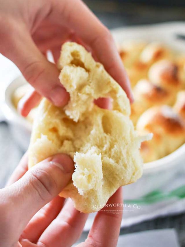 Quick One Hour Dinner Rolls Recipe