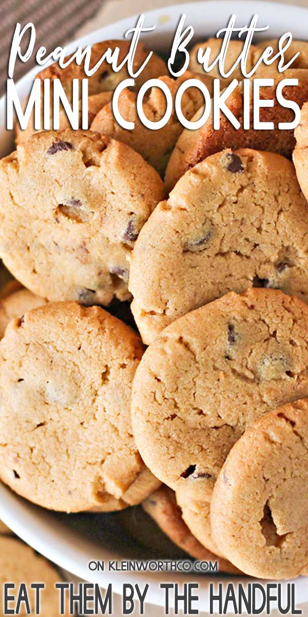 Mini Peanut Butter Chocolate Chip Cookies